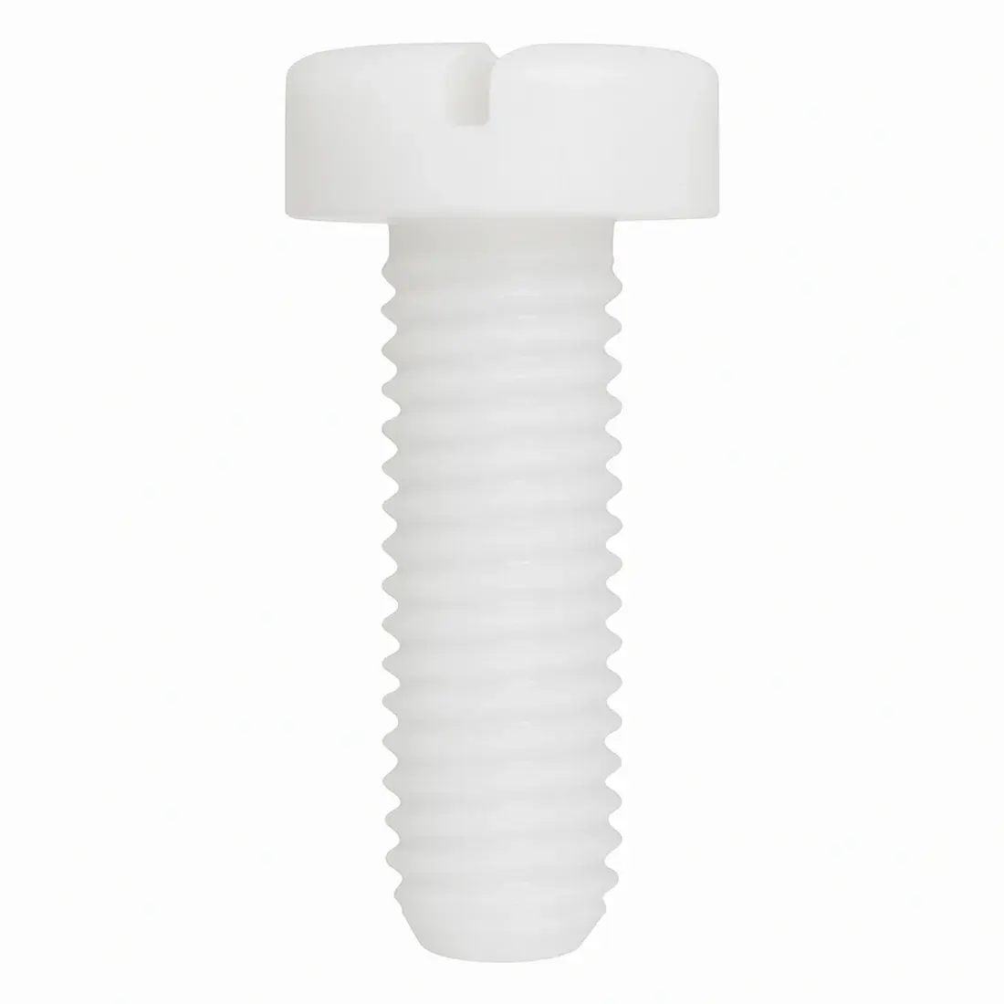 SR1904 - Slotted Cheese Head Screws-PP