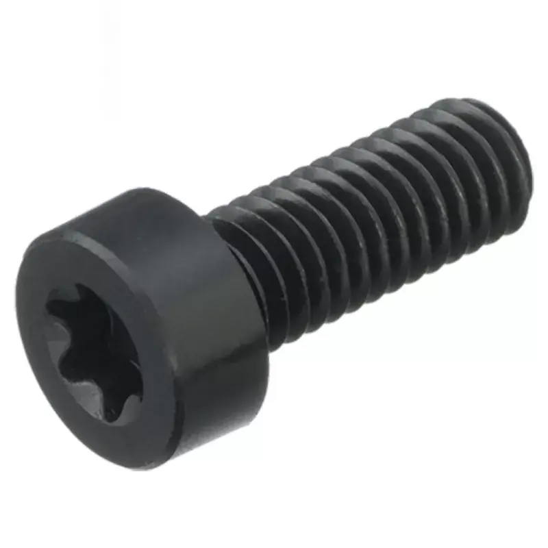SRRLHH - Reny Low Head Hexalobular Screws