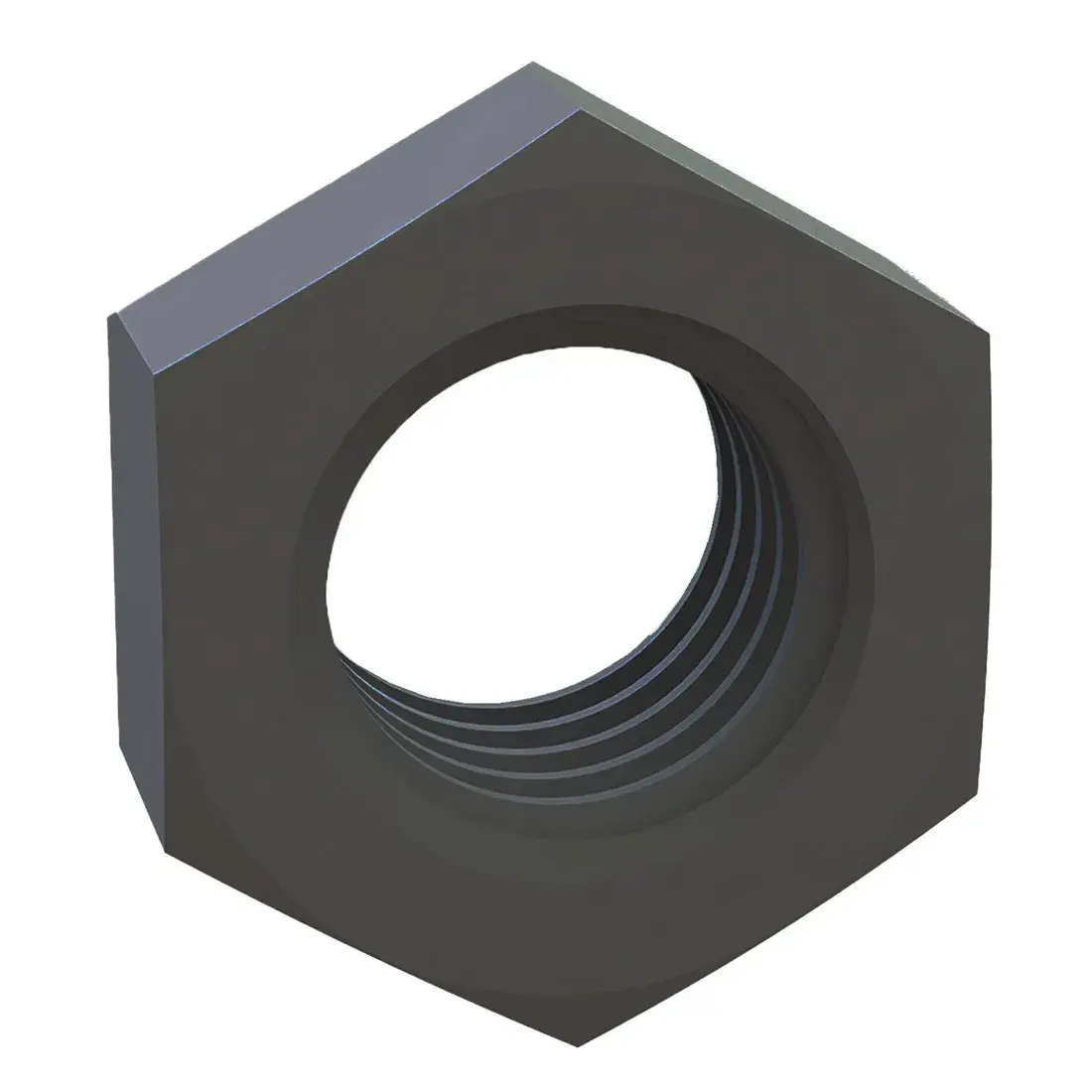 SR1954 - Black Hexagonal Nuts